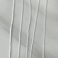 Fil à broder spécial pour la broderie de cordon et la broderie éponge: soie de lait épaisse (600D, 900D, 1200D, 2400D, 3600D)