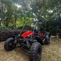 Vente spéciale d'usine 150CC & 200CC Racing Go Kart UTV Buggy de plage électrique tout-terrain avec entraînement par chaîne de frein à disque Démarrage facile