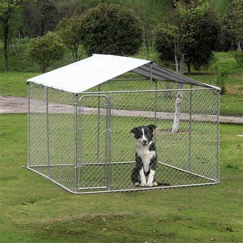 10*10 * 6ft כלב מלונה חיצוני כבד החובה כלב בית עם מים עמיד כיסוי פלדה גדר