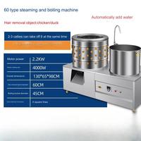 Machine à Plumer la Volaille Mini Entièrement Automatique pour Cailles, Oiseaux et Poulets, en Acier Inoxydable, Moteur d'Abattage pour l'Enlèvement des Plumes