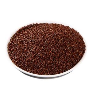 Mangime Naturale per Uccelli di Perilla Pura Biologica Direttamente dal Produttore con Processo di Essiccazione Avanzato - Product Image 1