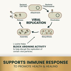 อาหารเสริมเสริมภูมิคุ้มกันสำหรับแมวและลูกแมว OEM/ODM ไลซีน ช่วยบรรเทาอาการแพ้ จาม น้ำมูกไหล และตาเป็นน้ำ - Product Image 4