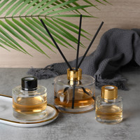 Diffuseur d'huiles essentielles pour la maison, bouteille en verre, aromathérapie, parfum, désodorisant, diffuseur de roseaux
