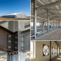 Poulailler préfabriqué en acier à contrôle environnemental automatique pour l'élevage de poulets de chair et de poules pondeuses, structure en acier