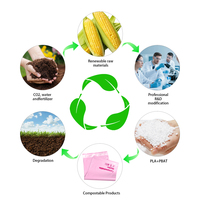 Bolsa de Plástico Transparente con Cierre Zip para Joyería, Biodegradable, Compostable, con Impresión de Logotipo Personalizado