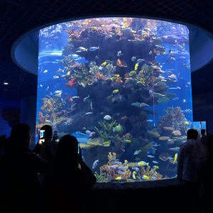 Hete Verkoop Fabriek Groothandel Directe Prijs Grote Cilinder Acryl Vis <span class=keywords><strong>Aquarium</strong></span> Te Koop - Product Image 3