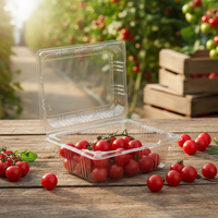 Boîtes à clapet en plastique PET transparent de 250g et 400g pour l'emballage des tomates, des fraises, des raisins et des cerises