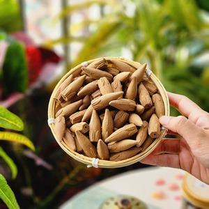 Hand-Made Cypress Wood <b>Cone</b> <b>Incense</b> Aromatic All-Season Natural Organic Eco-Friendly Long Burning Aromatherapy - Product Image 4