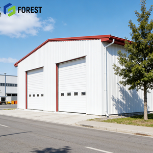 Edificio Industrial Prefabricado de Gran Envergadura, Diseño Modular Ignífugo y Anticorrosivo para Línea de Ensamblaje de Automóviles - Product Image 1