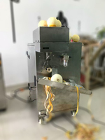 Professionele Perzik Sinaasappel Ananas Fruit Schilmachine Mango Dunschiller En Corer Machines Prijs