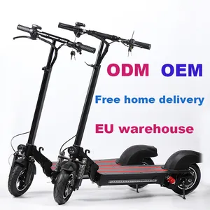 Uk Europese Magazijn Dhl Dpd 2021 10 Inch 600w1200w Single En Dual Motor Chinese Volwassen Opvouwbare Elektrische Scooter Escooter