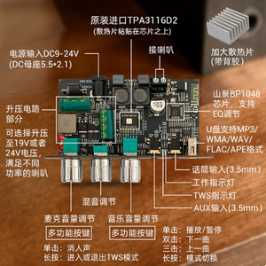 Wuzervon ZK-1001UM 100W Mono <b>Amplifier</b> Board With Mic Reverb For Outdoor <b>Speaker</b> TPA3116 - Product Image 5