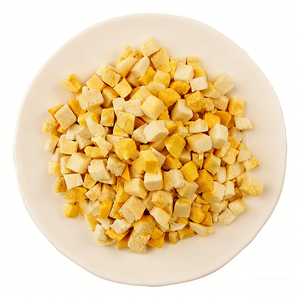 Rodajas de Calabaza Liofilizadas de Alta Calidad, Frutas y Verduras Liofilizadas Naturales y Orgánicas - Product Image 3