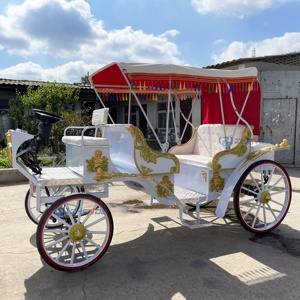 Voiture électrique nouvelle génération, type calèche de tourisme, avec sièges bleus, économique, pour transport spécial - Product Image 5