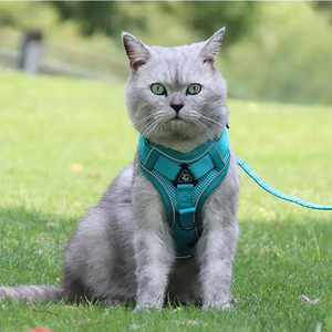 Joysing-Arnés ajustable transpirable de nailon para gatos, conjunto de correa, chaleco mejorado para gatitos, cachorros, a prueba de escape, perros para caminar al aire libre - Product Image 6
