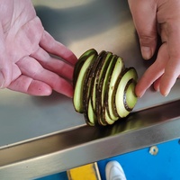 Kls Industriële Roestvrijstalen Gember Knoflooksnijmachine-Multifunctionele Fruitgroente Snijmachine
