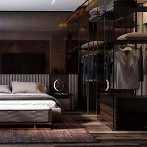 Armoire de chambre à coucher de style minimaliste moderne, de luxe, avec dressing, armoire professionnelle sur mesure avec porte en verre - Product Image 2