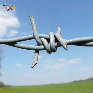 Hot Selling hot dipped 50ft Galvanized Barbed Wire Rope Single Double Strand Razor Fence 14X14 Bwg Barbed Wire