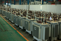 Transformateurs immergés dans l'huile 30 kVA 10 kV triphasés 50/60 Hz avec sortie 0,4 kV, structure fiable, fournis par l'usine SinoShine