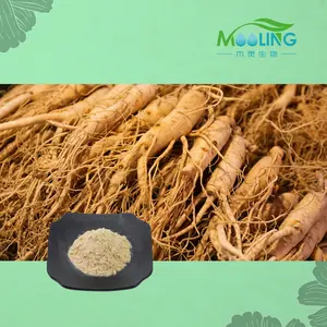 Best Price American Ginseng Extract American Ginseng Powder