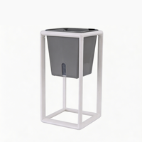 Pot de fleurs auto-arrosant en plastique transparent de style nordique avec support surélevé et réservoir visible pour plantes d'intérieur