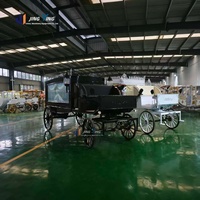 Cercueil électrique élégant noir à double essieu, moderne, avec grandes fenêtres en verre et rideaux d'intimité personnalisés