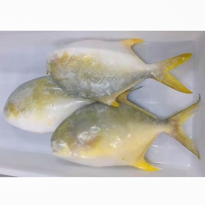 Pompano Congelado Entero IQF <span class=keywords><strong>Trachinotus</strong></span> <span class=keywords><strong>Ovatus</strong></span>, Mariscos Premium, Exportación Directa de Fábrica China, Precio al por Mayor - Product Image 6