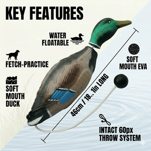 Pato de Entrenamiento Flotante de Goma <span class=keywords><strong>Natural</strong></span> Resistente a Mordidas para <span class=keywords><strong>Perros</strong></span>, Fabricado a Medida con Espuma EVA, para Entrenamiento de Retrivalers - Product Image 6