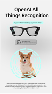 Kameralı ve Yapay Zeka Çevirmenli Akıllı Gözlükler 1080P HD Video G300 IPX5 Su Geçirmez Sesli Kontrol WIFI Aktarımı - Product Image 5