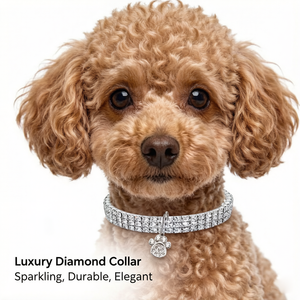 <span class=keywords><strong>Collar</strong></span> de Perro de Cristal de Lujo con <span class=keywords><strong>Collar</strong></span> Ajustable y Elástico para Mascotas, Accesorio Cómodo para Uso Diario - Product Image 2