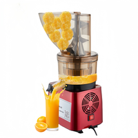 300w/500w/750w Multi-fonctionnel Puissant Slow Fruit & Vegetable Juicer Machine Ginger Apple Cold Press Juicer Machine