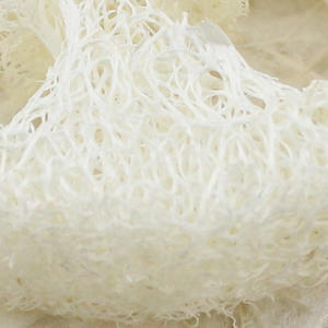 ชุดใยบวบคุณภาพสูงอายุการใช้งานยาวนาน ชิ้นใยบวบ ชิ้นใยบวบหั่น ใยบวบโมร็อกโก ใยบวบแบบกำหนดเอง ฟองน้ำใยบวบธรรมชาติ - Product Image 3