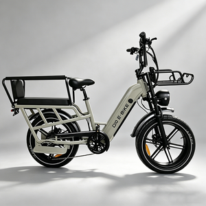 Vélo électrique <span class=keywords><strong>cargo</strong></span> 20 pouces à cadre bas, <span class=keywords><strong>2</strong></span> <span class=keywords><strong>places</strong></span>, pour famille, moteur sans balais, batterie lithium 48V 15AH, cadre en aluminium, double suspension - Product Image 1