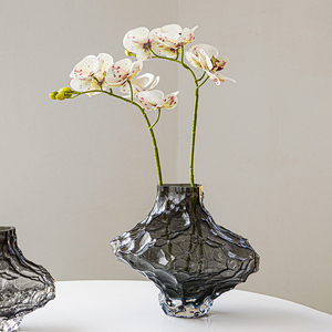 Vase en verre de style nordique pour salon, arrangement floral transparent, pièce décorative artistique créative - Product Image 2