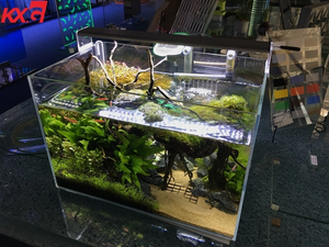 Cột kính cường lực cực kỳ rõ ràng tùy chỉnh | kính an toàn trang trí cho thiết kế kiến trúc & nội thất cho Bàn Cửa bể cá - Product Image 2