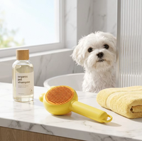 Brosse de toilettage pour animaux de compagnie en ABS avec oreilles de lapin, auto-nettoyante, peigne professionnel pour enlever les poils de chien, outil multifonctionnel pour démêler la fourrure
