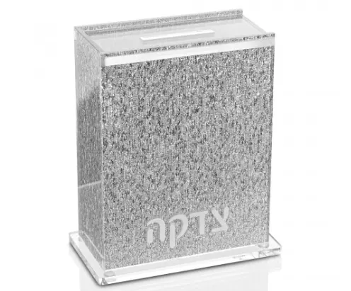 Çin üretici özelleştirilmiş tasarım şeffaf akrilik Tzedakah Charity kutusu gümüş arka plan ile
