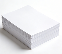 Papier de Copie A4 de Haute Qualité 80GSM 100% Pâte de Bois 500 Feuilles/Rame