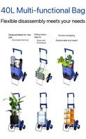 Carrito Eléctrico Portátil para Subir Escaleras, para Uso Doméstico, Compras, Plegable, Pequeño, de Arrastre Manual