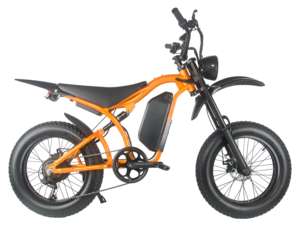 Bicicleta Eléctrica Enduro de 20 Pulgadas, Especializada, Rápida, 750w, Neumáticos Anchos, Suspensión Completa, Bicicleta de Montaña, Chopper, MTB - Product Image 3