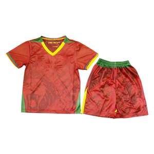 2526 heiß verkauftes Team-Fußball trikot, Polyester gewebe, Spieler version, Kamerun-Fußball trikot De Foot Uniforme - Product Image 3