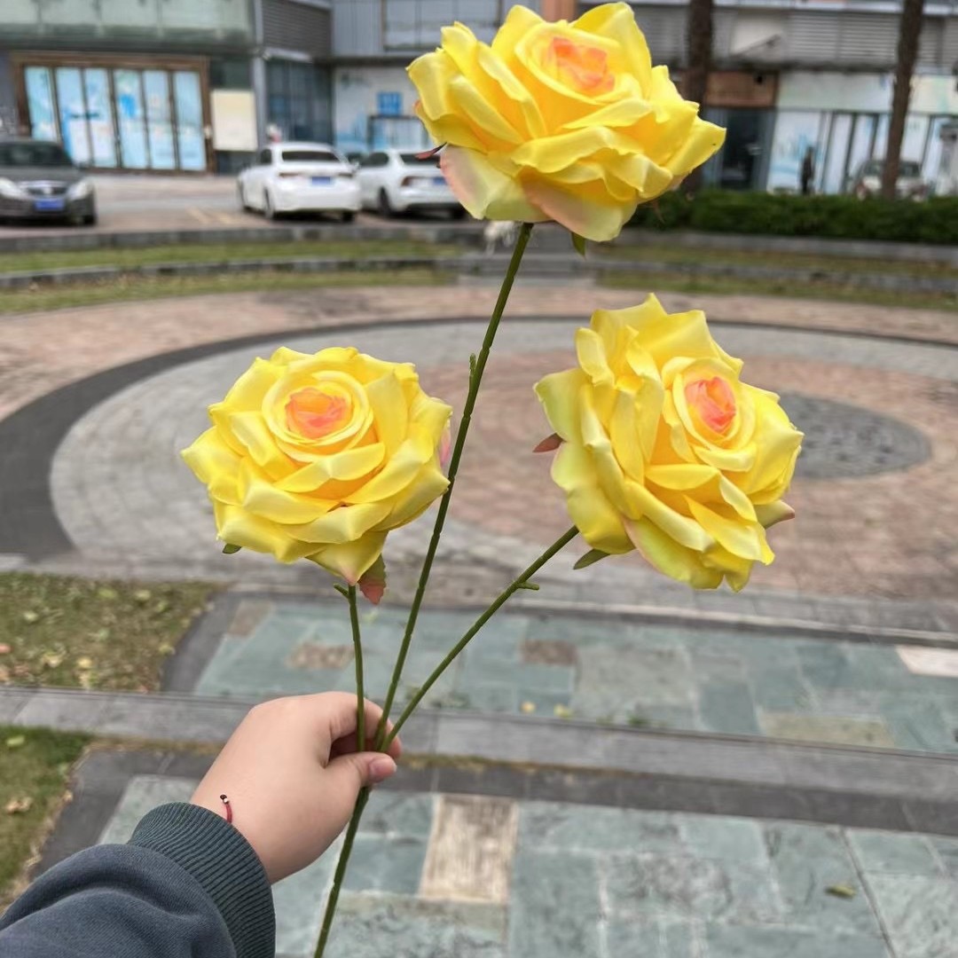 3 roses Lefthorn jaune