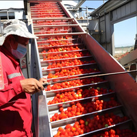 Ligne de production de machines pour la fabrication de purée, de pulpe, de jus, de sauce, de ketchup et de confiture de tomates et mangues à prix d'usine