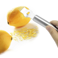 Hot Selling Fruit Aardappel Citrus Gereedschap Handmatige Roestvrijstalen Citroenrasp Zester