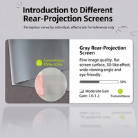 Écran de projection arrière avec rideau vidéo pour projecteur dissimulé, doté de œillets de fixation, pour salon familial, derrière le canapé, cinéma de salon