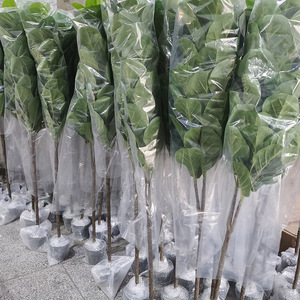 Intérieur Décor À La Maison Meilleur 6 Pieds 5ft 6ft Faux Petit Grand Vert Ficus Lyrata Plantes En Pot Artificielles Faux Ficus Lyrata - Product Image 6