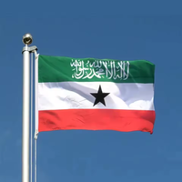 Logo personnalisé promotionnel 3x5ft drapeau somalien extérieur durable agitant la main drapeau du somaliland