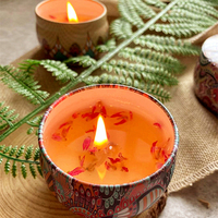 Sojawachs Bienenwachs Palmwachs Gelwachs Getrocknete Blumen Handgemachte Kerzen in Blechdosen Kleine Kerzen-Souvenirs 11 Düfte für Feiertage und Diwali