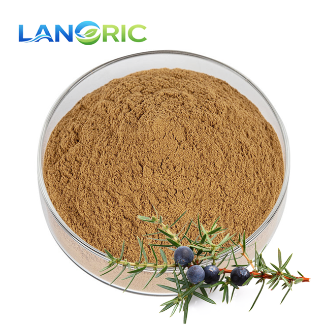 Pure Natural Juniper Berry Extract Top Quality Juniper Berry Powder Juniper Berries