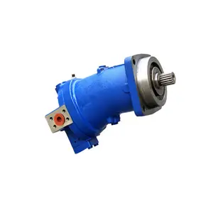 Hidrolik Motor tüp A6V hidrolik motorlar fiyatı 70 hidrolik pistonlu Motor Rmr 100ll/min 1500r/min 315bar CN;GUA Raypoo